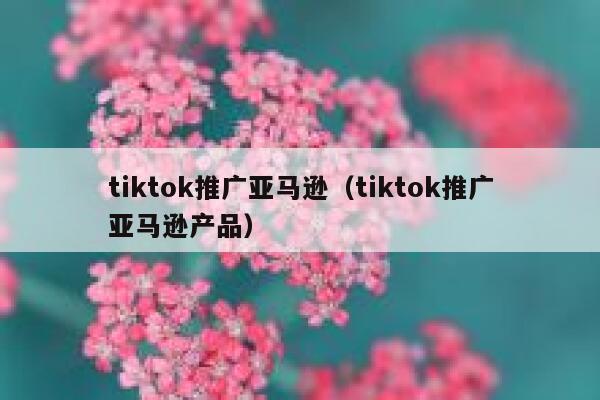 tiktok推广亚马逊（tiktok推广亚马逊产品） 第1张