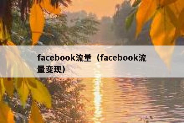 facebook流量（facebook流量变现） 第1张