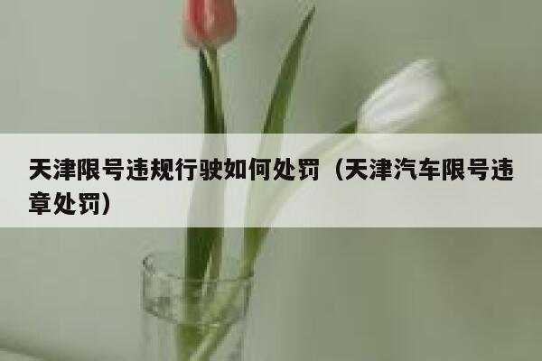 天津限号违规行驶如何处罚（天津汽车限号违章处罚） 第1张
