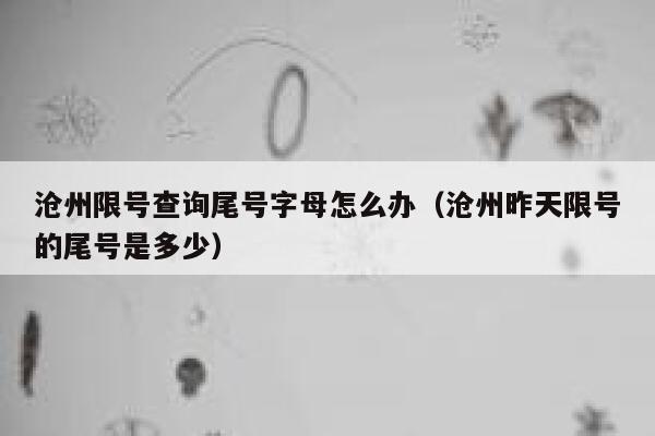 沧州限号查询尾号字母怎么办（沧州昨天限号的尾号是多少） 第1张