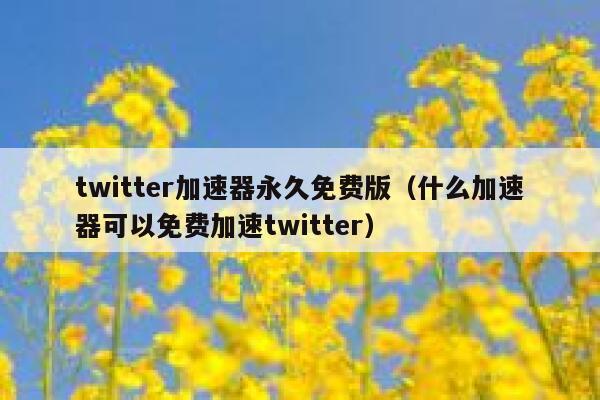 twitter加速器永久免费版（什么加速器可以免费加速twitter） 第1张