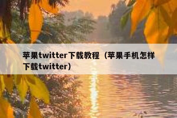 苹果twitter下载教程（苹果手机怎样下载twitter） 第1张