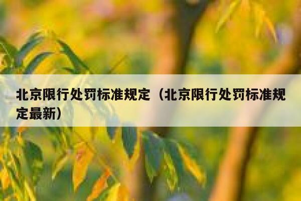 北京限行处罚标准规定（北京限行处罚标准规定最新） 第1张