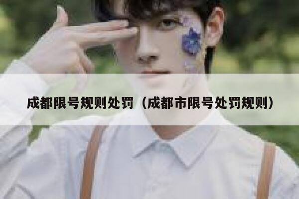 成都限号规则处罚（成都市限号处罚规则） 第1张