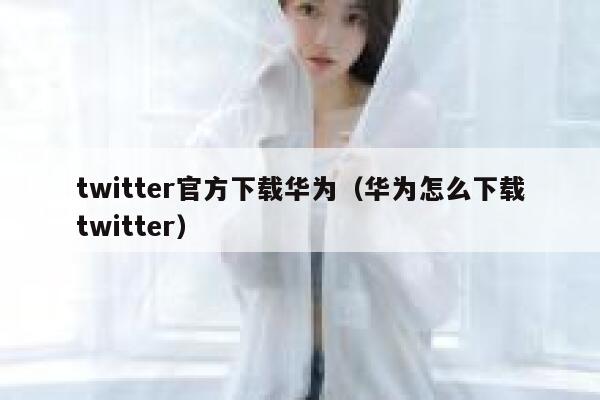 twitter官方下载华为（华为怎么下载twitter） 第1张