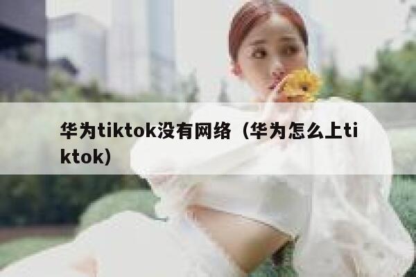 华为tiktok没有网络（华为怎么上tiktok） 第1张