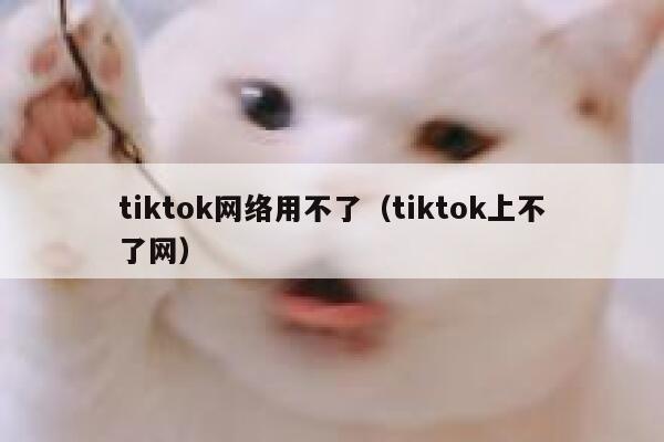 tiktok网络用不了（tiktok上不了网） 第1张