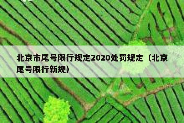 北京市尾号限行规定2020处罚规定（北京尾号限行新规） 第1张