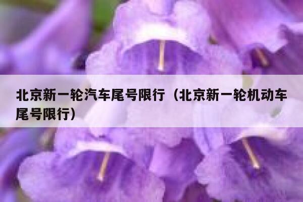 北京新一轮汽车尾号限行（北京新一轮机动车尾号限行） 第1张
