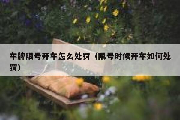 车牌限号开车怎么处罚（限号时候开车如何处罚） 第1张