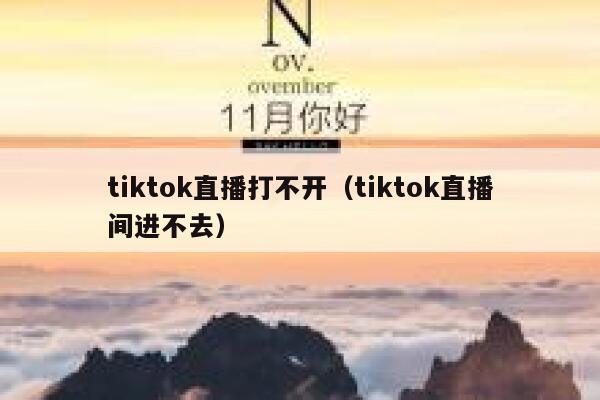tiktok直播打不开(tiktok直播间进不去) 第1张 tiktok直播打不开(tiktok直播间进不去) 第1张
