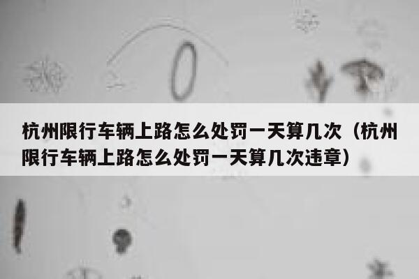 杭州限行车辆上路怎么处罚一天算几次（杭州限行车辆上路怎么处罚一天算几次违章） 第1张
