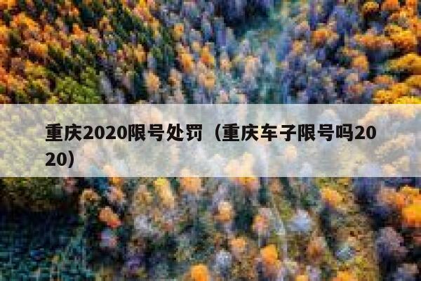 重庆2020限号处罚（重庆车子限号吗2020） 第1张