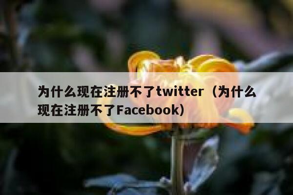 为什么现在注册不了twitter(为什么现在注册不了Facebook) 第1张 为什么现在注册不了twitter(为什么现在注册不了Facebook) 第1张