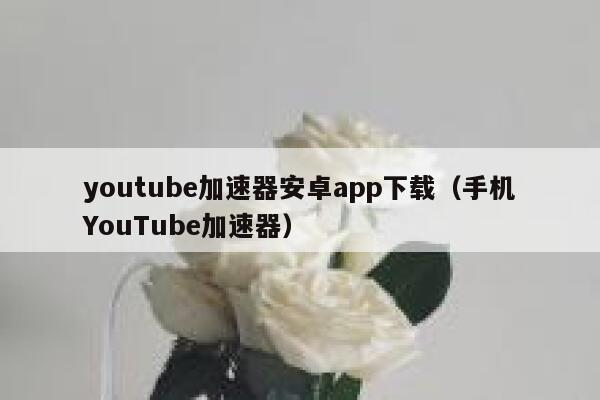 youtube加速器安卓app下载(手机YouTube加速器) 第1张 youtube加速器安卓app下载(手机YouTube加速器) 第1张