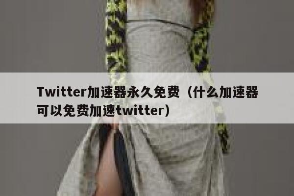 Twitter加速器永久免费(什么加速器可以免费加速twitter) 第1张 Twitter加速器永久免费(什么加速器可以免费加速twitter) 第1张