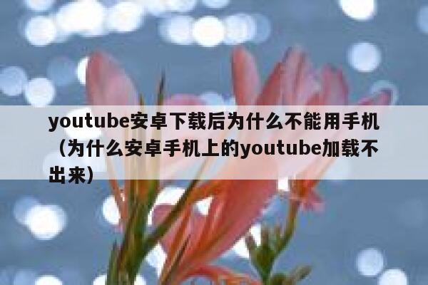 youtube安卓下载后为什么不能用手机(为什么安卓手机上的youtube加载不出来) 第1张 youtube安卓下载后为什么不能用手机(为什么安卓手机上的youtube加载不出来) 第1张
