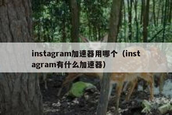 instagram加速器用哪个(instagram有什么加速器) 第1张 instagram加速器用哪个(instagram有什么加速器) 第1张
