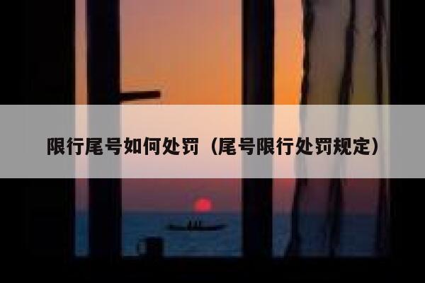 限行尾号如何处罚（尾号限行处罚规定） 第1张