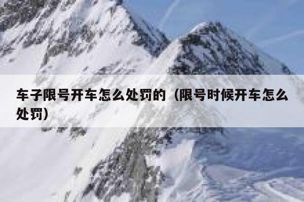 车子限号开车怎么处罚的（限号时候开车怎么处罚） 第1张