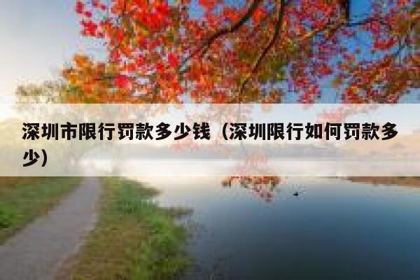 深圳市限行罚款多少钱(深圳限行如何罚款多少) 第1张 深圳市限行罚款多少钱(深圳限行如何罚款多少) 第1张