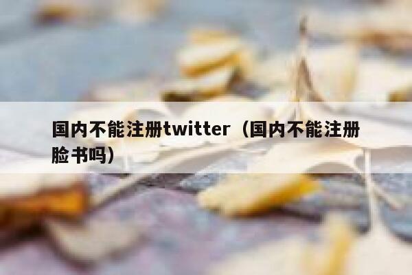 国内不能注册twitter（国内不能注册脸书吗） 第1张