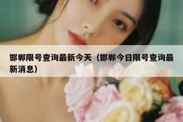 邯郸限号查询最新今天（邯郸今日限号查询最新消息） 第1张