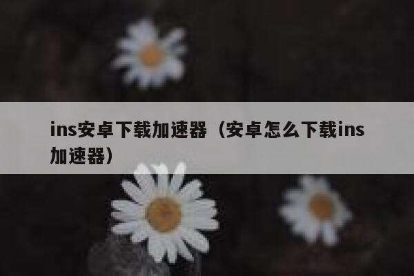 ins安卓下载加速器（安卓怎么下载ins加速器） 第1张