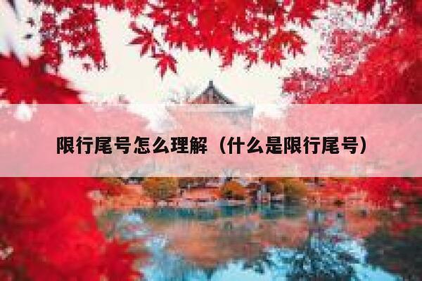 限行尾号怎么理解（什么是限行尾号） 第1张