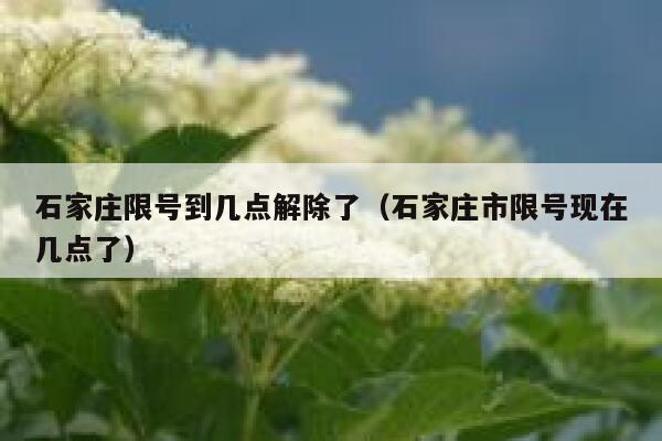 石家庄限号到几点解除了（石家庄市限号现在几点了） 第1张