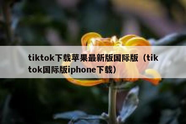 tiktok下载苹果最新版国际版（tiktok国际版iphone下载） 第1张