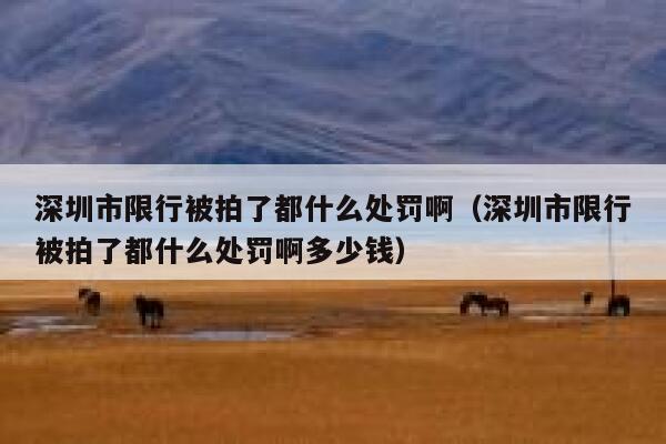 深圳市限行被拍了都什么处罚啊(深圳市限行被拍了都什么处罚啊多少钱) 第1张 深圳市限行被拍了都什么处罚啊(深圳市限行被拍了都什么处罚啊多少钱) 第1张