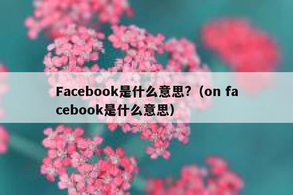 Facebook是什么意思?（on facebook是什么意思） 第1张