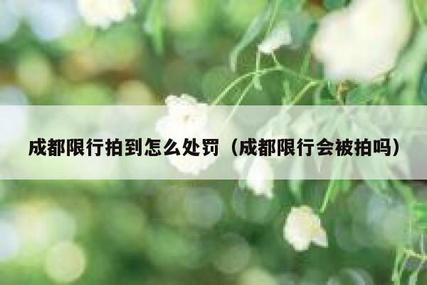 成都限行拍到怎么处罚（成都限行会被拍吗） 第1张