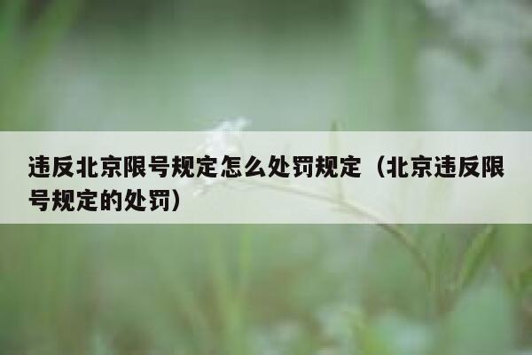 违反北京限号规定怎么处罚规定（北京违反限号规定的处罚） 第1张