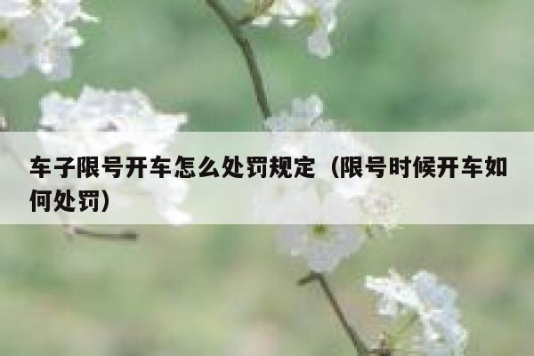 车子限号开车怎么处罚规定（限号时候开车如何处罚） 第1张