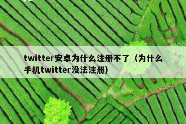 twitter安卓为什么注册不了（为什么手机twitter没法注册） 第1张