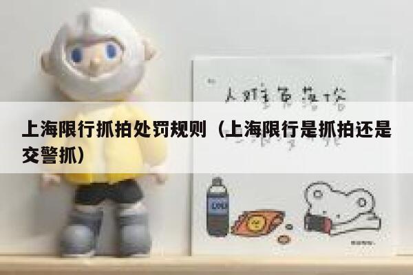 上海限行抓拍处罚规则（上海限行是抓拍还是交警抓） 第1张