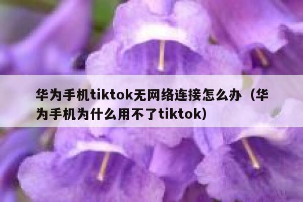 华为手机tiktok无网络连接怎么办（华为手机为什么用不了tiktok） 第1张