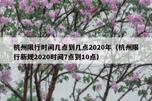 杭州限行时间几点到几点2020年(杭州限行新规2020时间7点到10点) 第1张 杭州限行时间几点到几点2020年(杭州限行新规2020时间7点到10点) 第1张