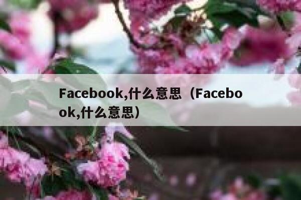 Facebook,什么意思(Facebook,什么意思) 第1张 Facebook,什么意思(Facebook,什么意思) 第1张