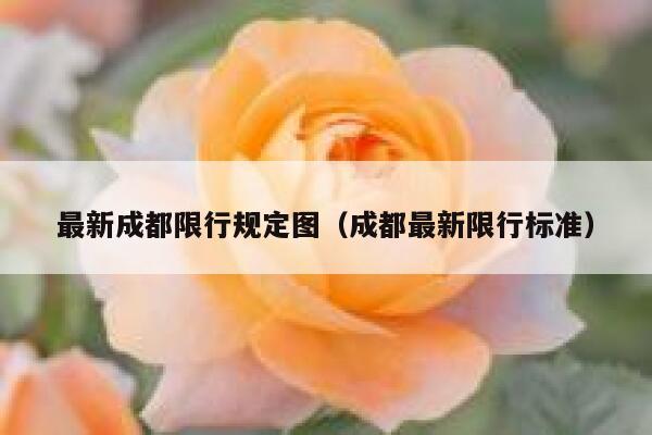 最新成都限行规定图(成都最新限行标准) 第1张 最新成都限行规定图(成都最新限行标准) 第1张