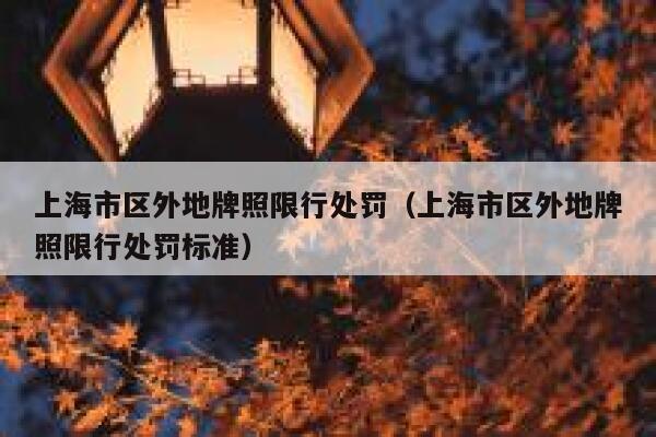 上海市区外地牌照限行处罚（上海市区外地牌照限行处罚标准） 第1张