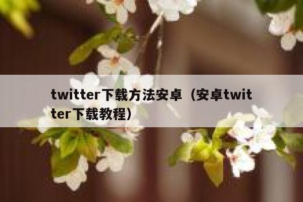 twitter下载方法安卓（安卓twitter下载教程） 第1张