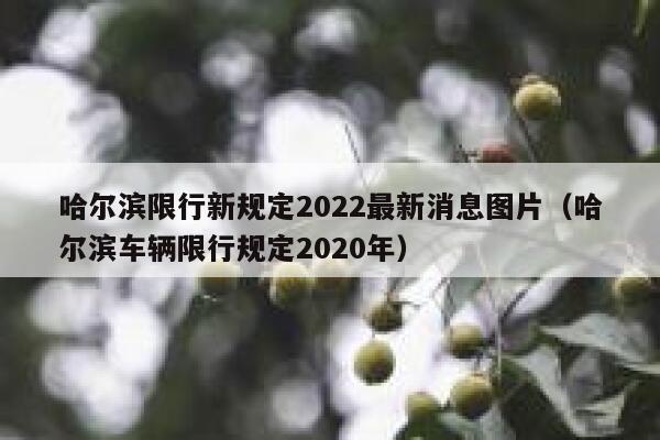 哈尔滨限行新规定2022最新消息图片(哈尔滨车辆限行规定2020年) 第1张 哈尔滨限行新规定2022最新消息图片(哈尔滨车辆限行规定2020年) 第1张