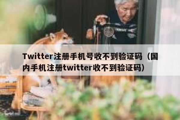 Twitter注册手机号收不到验证码(国内手机注册twitter收不到验证码) 第1张 Twitter注册手机号收不到验证码(国内手机注册twitter收不到验证码) 第1张