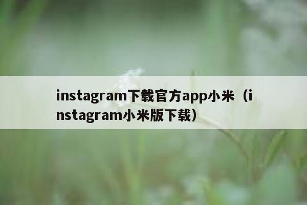 instagram下载官方app小米（instagram小米版下载） 第1张