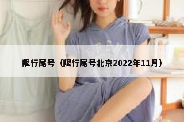 限行尾号（限行尾号北京2022年11月） 第1张