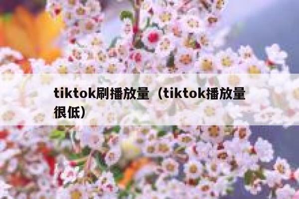tiktok刷播放量(tiktok播放量很低) 第1张 tiktok刷播放量(tiktok播放量很低) 第1张