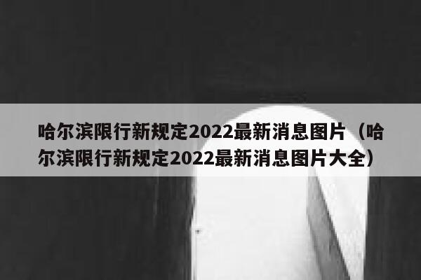 哈尔滨限行新规定2022最新消息图片（哈尔滨限行新规定2022最新消息图片大全） 第1张